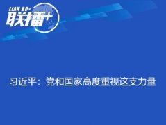 习近平：党和国家高度重视这支力量